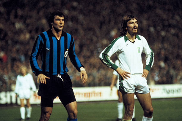 队发展的关 队发展的关