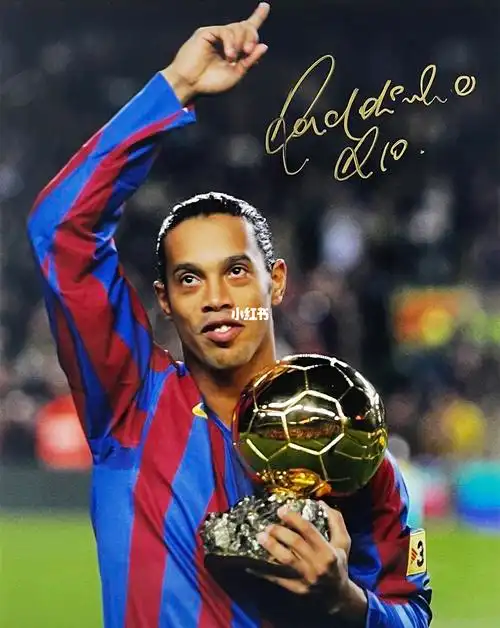 重要原因 重要原因